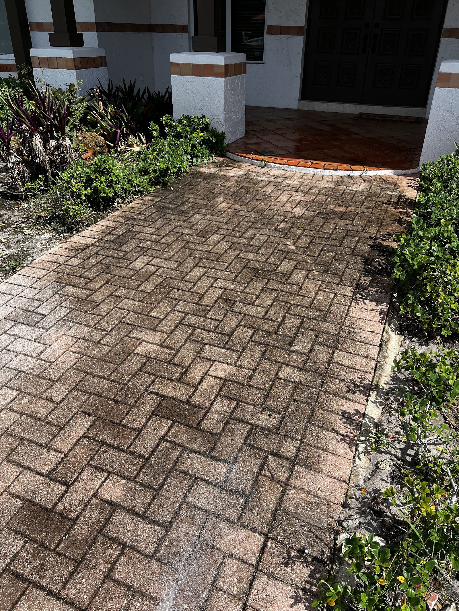 Paver walkway to the front entry, spotless