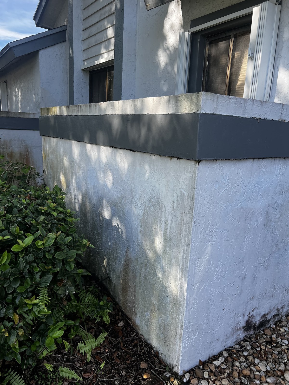 Fence Cleaning